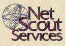 Scout Report Project logo