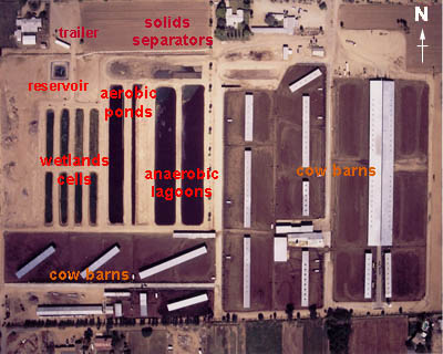 Dairy wetlands, aerial photo
