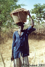 Photo of farmer carrying soil amendments to his field