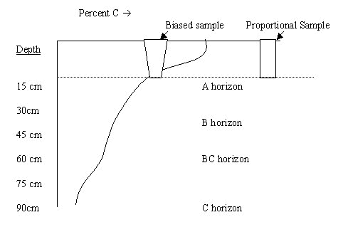 Schematic of typical carbon concentrations with depth