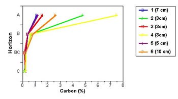 carbon concentration in soils