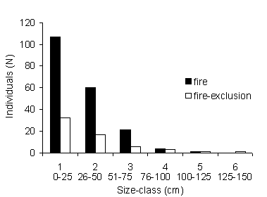 graph showing relation between juvenile size and vulnerability to die-back