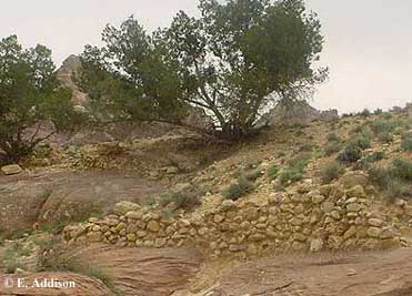 photo of ancient rock terraces constructed by Nabataean farmers