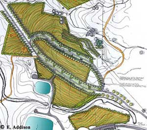 Detail of landscape plans for Project site