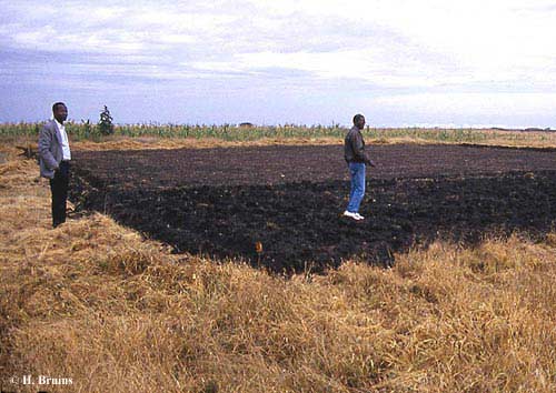 Photo showing preparation of fields for rainwater harvesting trials in Kenya, 1995.