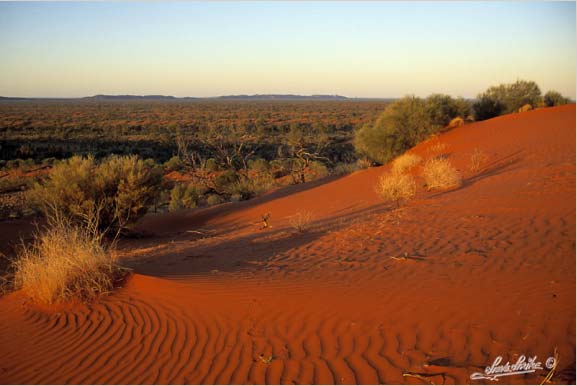 photograph of the Simpson Desert, Australia