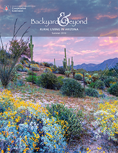 Summer 2016 Cover of Backyards & Beyond