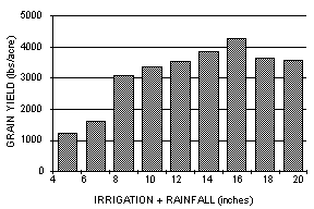 Column graph of grain yield vs irrigation or rainfall. 