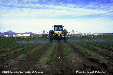 Insecticide being applied in a commercial lettuce field an electrostatic sprayer (ESS).   