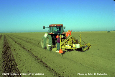 Application of Admire during melon planting operation on Yuma beds