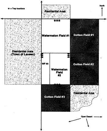 Map of the various fields and residential areas near the study.