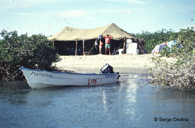 Magdalena Bay fishing camp