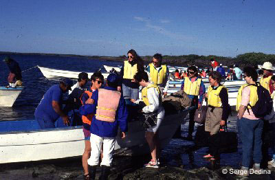Tourists preparing to get into skiffs for a whale-watching trip