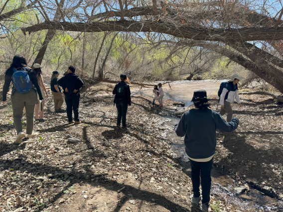 Students work in a riparian area in Southern Arizona as part of the Career Field Experience for Environmental Science (CFEES). 
