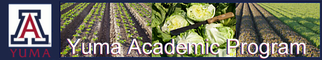 Yuma Academic Progam. Starting from left:
	the University of Arizona logo, a field of lettuce 
	sproutlings, heads of lettuce chopped in half, and
	a field with varying types of lettuce of contrasting colors.