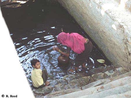 A Rajasthani woman collects water in an earthen jug from a village stepwell in this photograph