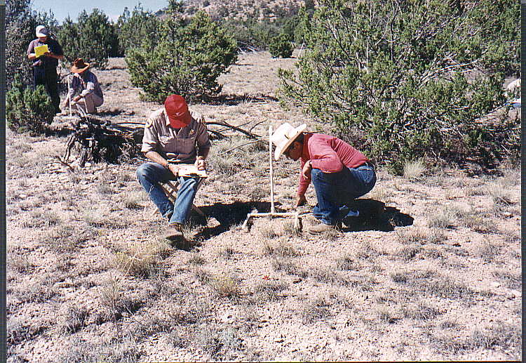 Sampling Soil Surface Cover, Plant Frequency, and Plant Species Composition with 40-x40-cm Quandrants
