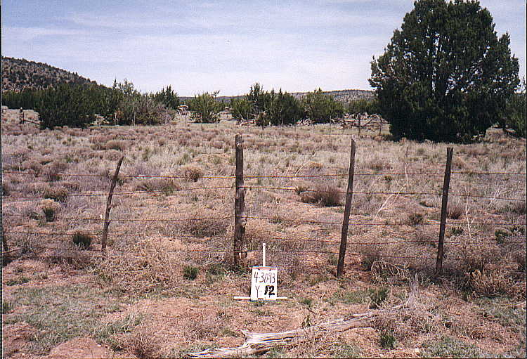 Appearance of Plot  Y-12 (Exclosure)on September 29, 1997