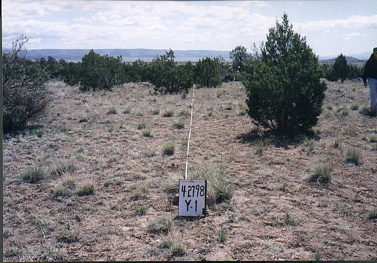 Photo of Plots Y-1, April 27, 1998
