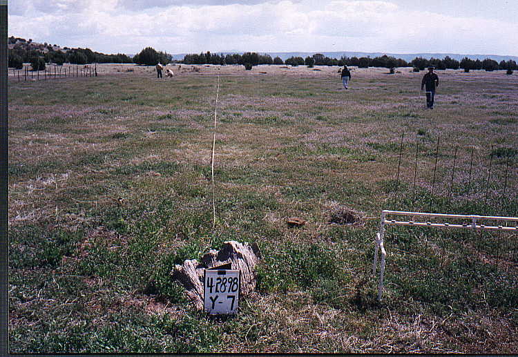 Photo of Plot Y-7, April 27, 1998