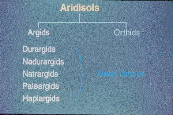 Aridisols Slide 30