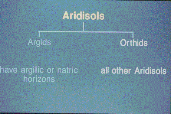 Aridisols Slide 37