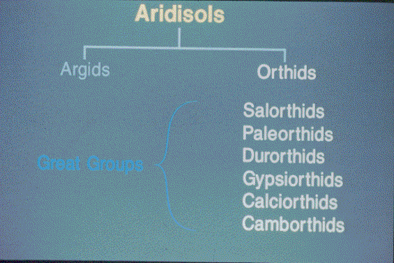 Aridisols Slide 38