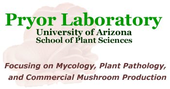 Pryor Laboratory - Focusing on Lettuce Diseases, Mycology, and Alternaria at The University of Arizona School of Plant Sciences, Tucson, Arizona USA