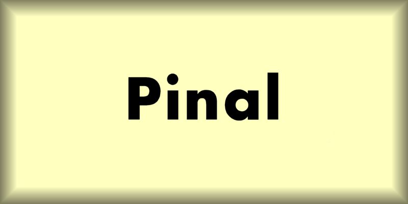  | Pinal Dust |