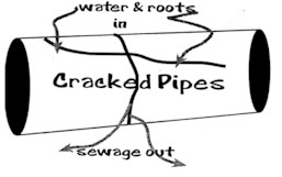 B&W 
  schematic of consequences of cracked distribution pipes. Source: National Association of 
  Wastewater Transporters, Inc. <i>Introduction to Proper Onsite Sewage Treatment.</i> 
  St. Paul, MN.