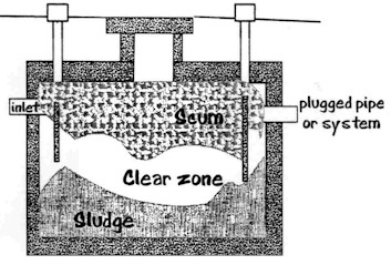 B&W 
  diagram of full septic tank. Source: National Association of 
  Wastewater Transporters, Inc. <i>Introduction to Proper Onsite Sewage Treatment.</i> 
  St. Paul, MN.
