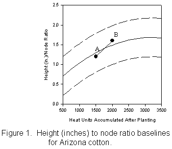 Figure 1. Graph of Height (inches) to node ratio baselines for Arizona cotton.