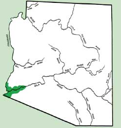 Figure 1.  Map of Arizona showing the primary area of lettuce production in Arizona, which is in the southwestern corner of the state.