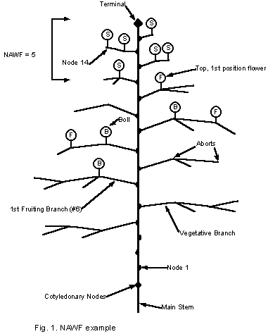 NAWF plant diagram example