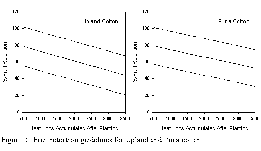 fruit retention guidelines for Upland and Pima cotton