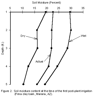 soil moisture content at time of first post-plant irrigation