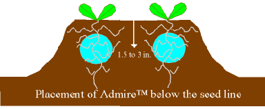 Figure 1. Proper Placement of Admire (TM)