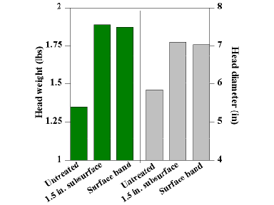 Figure 3. Yield Response of Lettuce