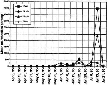 Graph of the mean number of whiteflies per trap at 5 locations over 4 months.