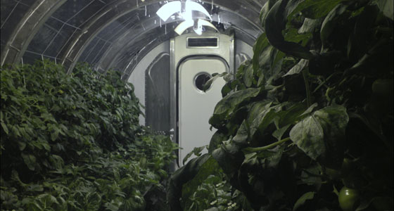 (2009) LGH Chamber 1 Full of plants
