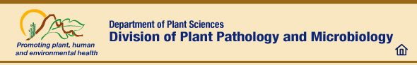 Division of Plant Pathology and Microbiology