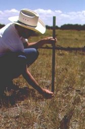 David Womack measures range grass.