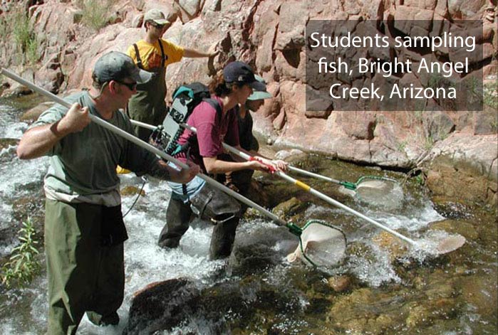 Students sampling Bright Angel Creek