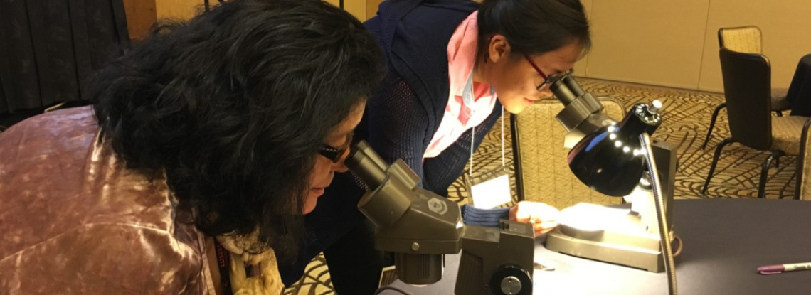 Community members peer through microscopes at common pests