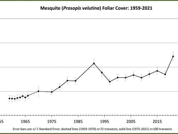 Mesquite Foliar Cover trend from 1959 to 2021