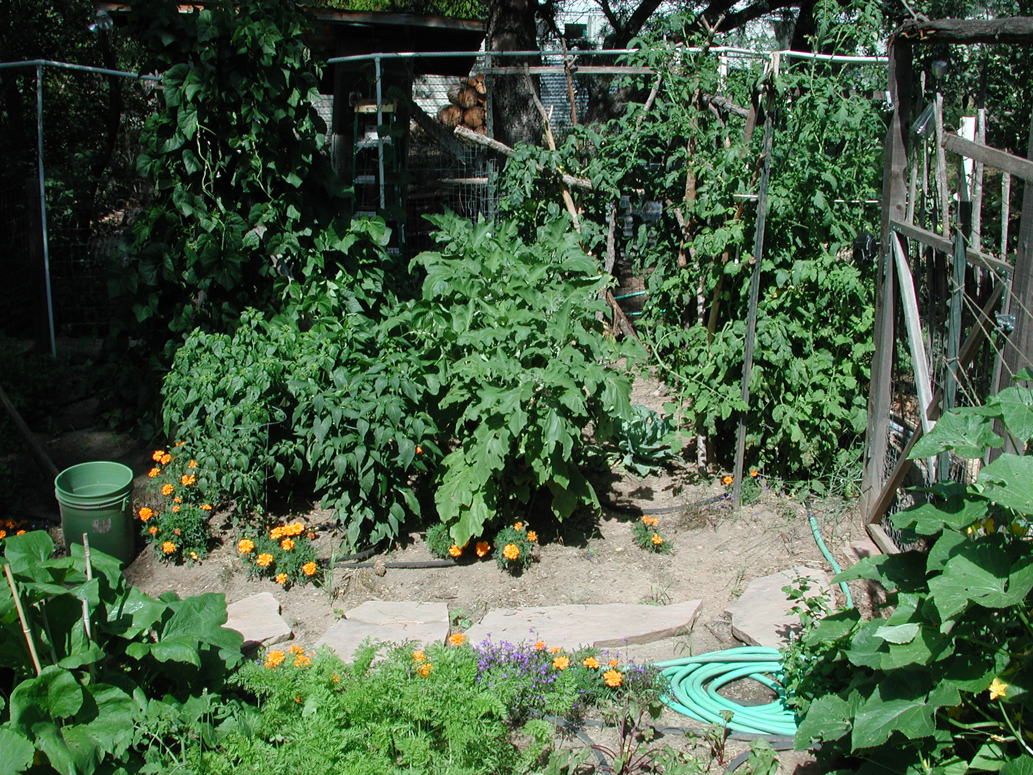 2012 Summer Garden